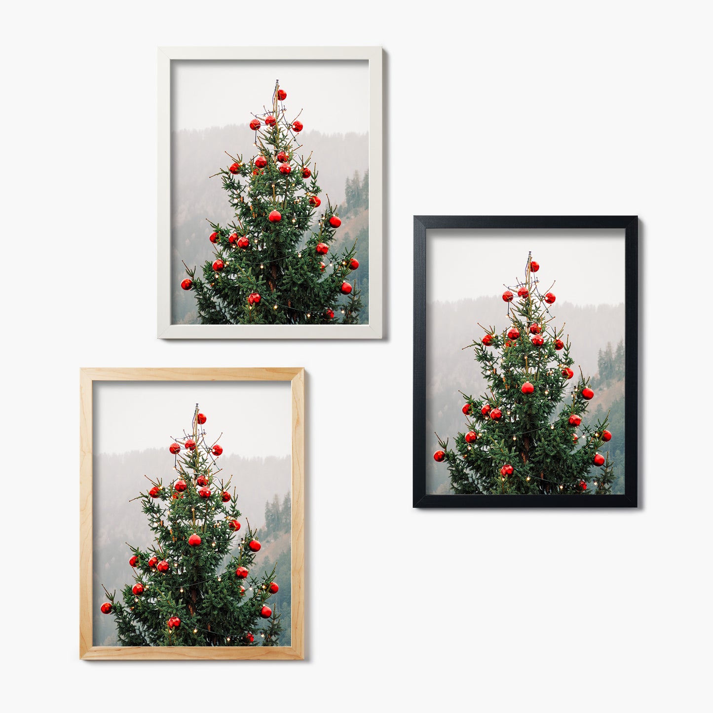 Red And Evergreen