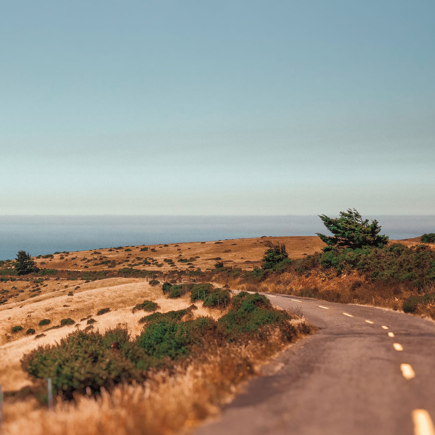 Road to the Lost Coast