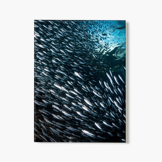 Silver Waves