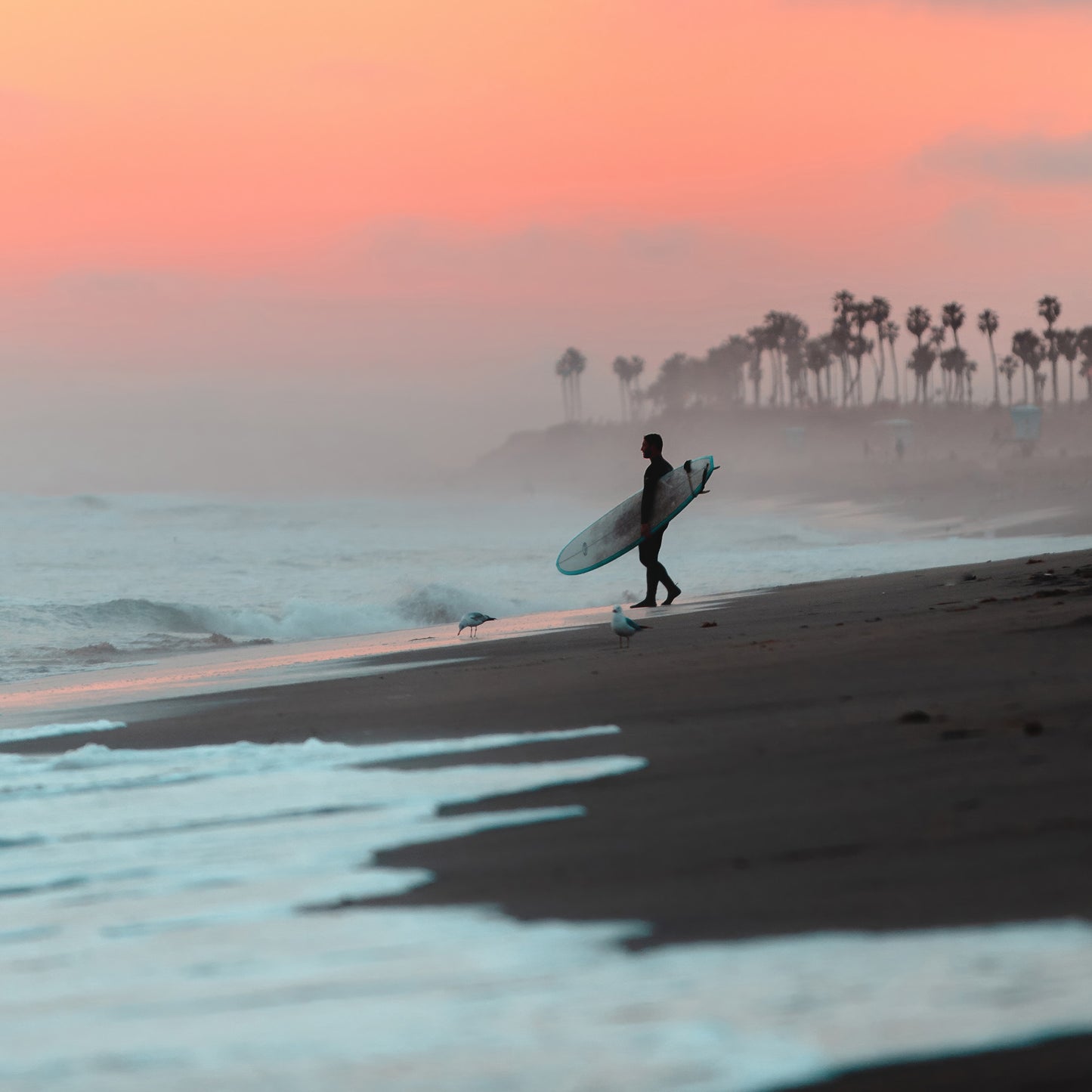 Surfer's Dawn