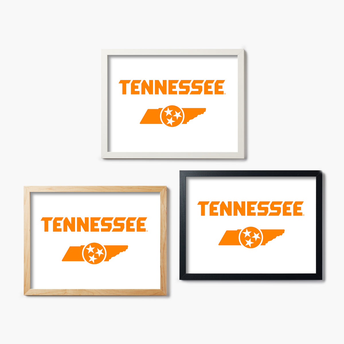 Tennessee Logo And State