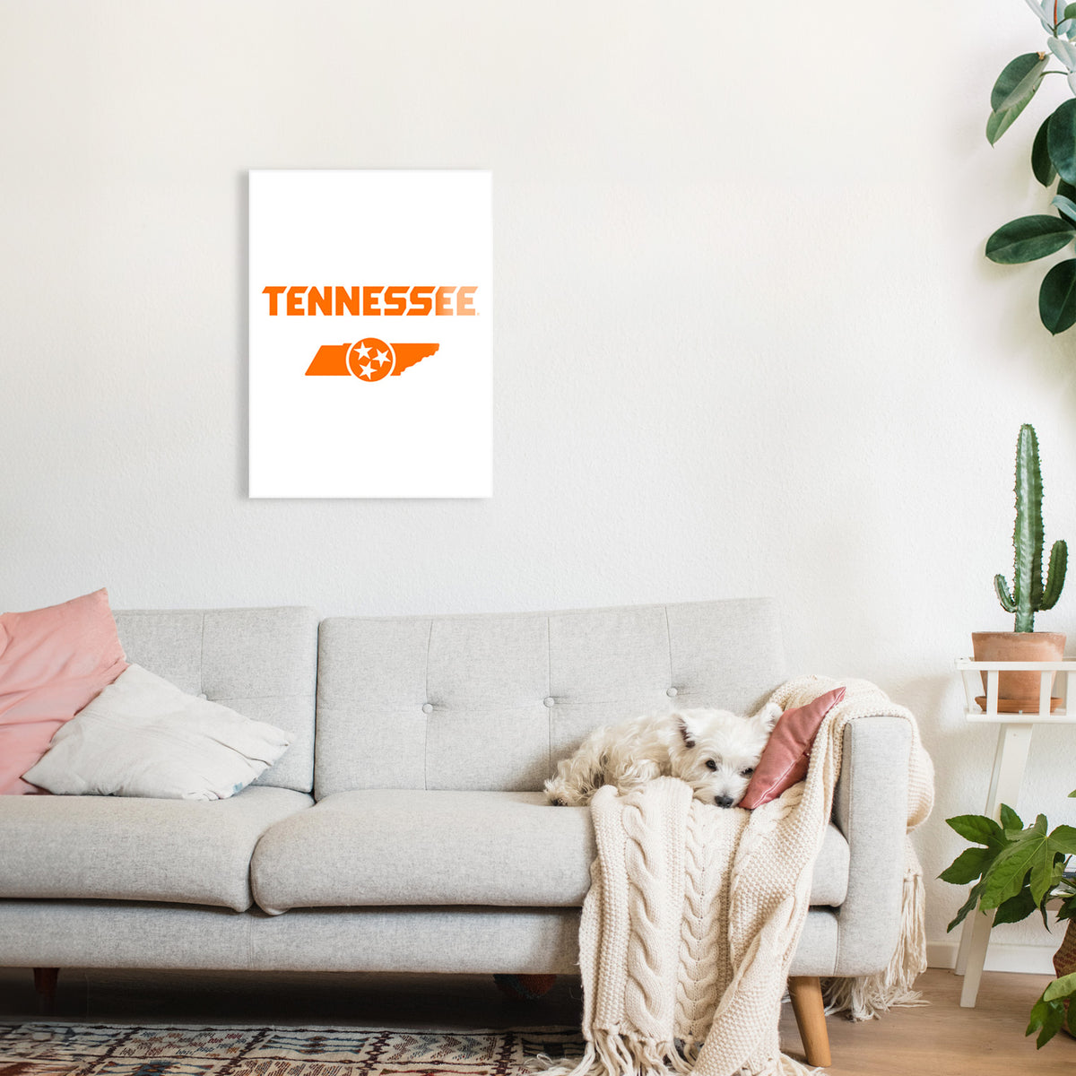 Tennessee Logo And State