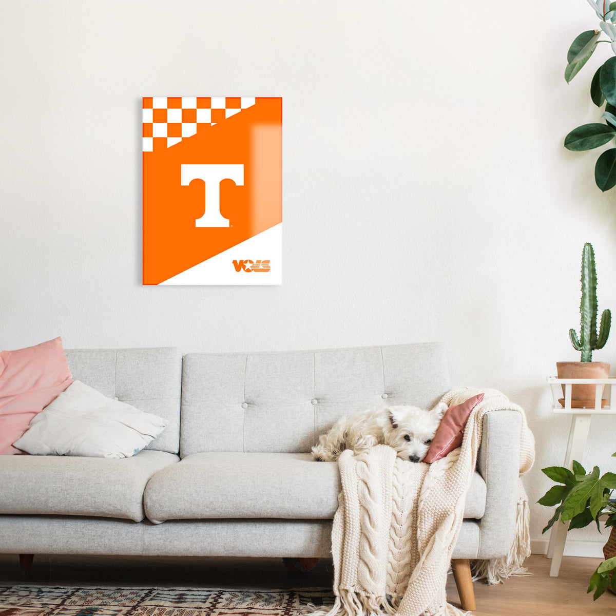 Tennessee Vols