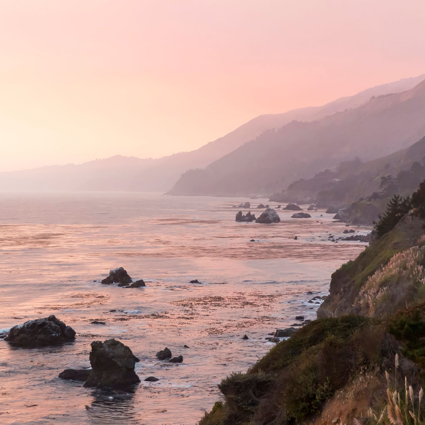 Twilight Over Rosy Tides Feature