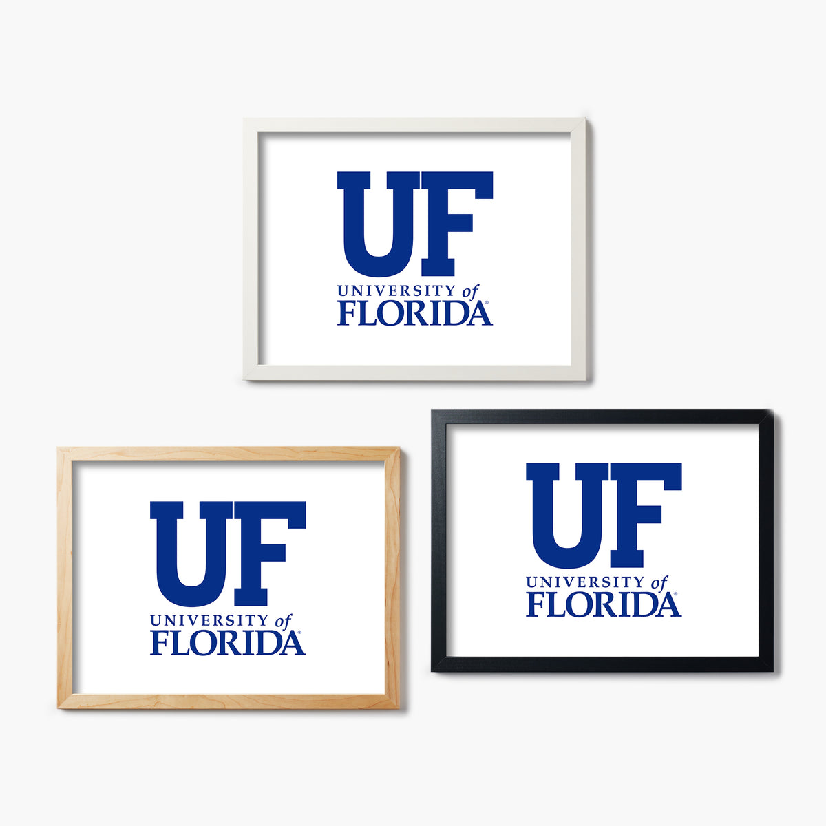 University of Florida UF