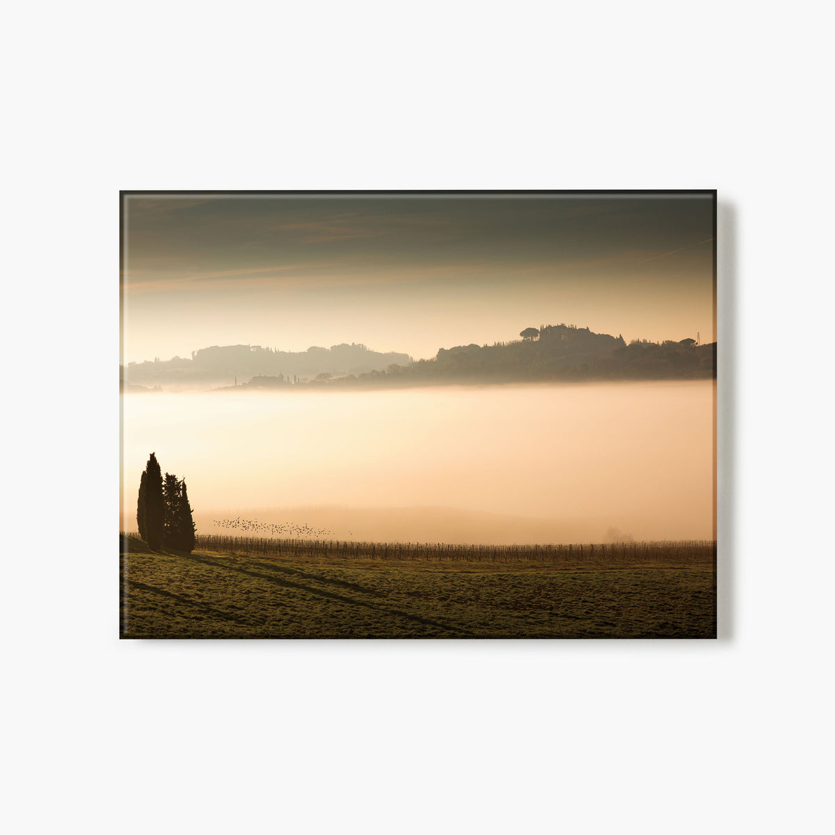 Glass Print of a photograph of a sunset over a vineyard with a silhouette of a tree.
