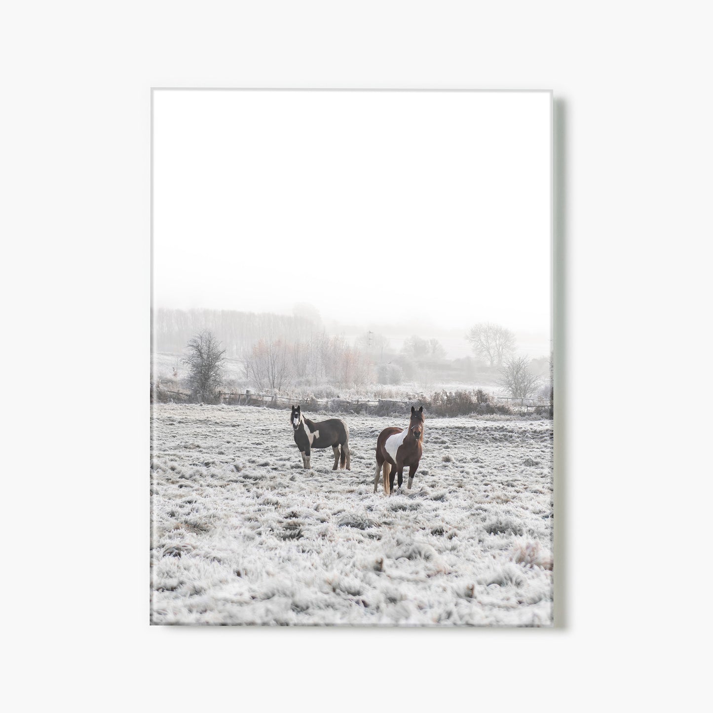 Winter Horses